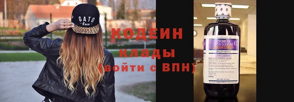 дурь Каменка