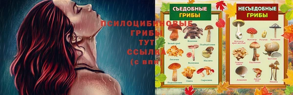 дурь Каменка
